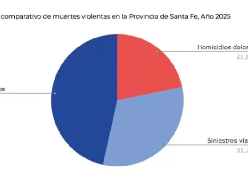 Los suicidios constituyeron la principal causa de muertes violentas